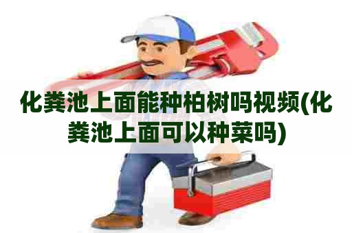 化粪池上面能种柏树吗视频(化粪池上面可以种菜吗) 化粪池上面能种柏树吗视频(化粪池上面可以种菜吗)