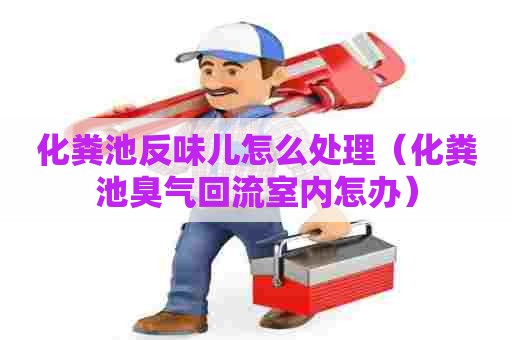 化粪池反味儿怎么处理（化粪池臭气回流室内怎办）