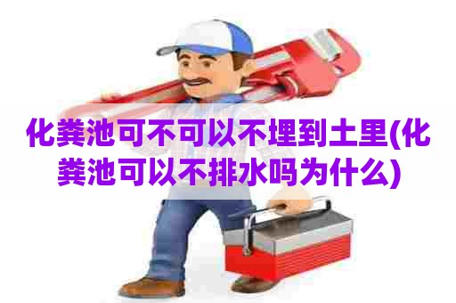 化粪池可不可以不埋到土里(化粪池可以不排水吗为什么) 化粪池可不可以不埋到土里(化粪池可以不排水吗为什么)