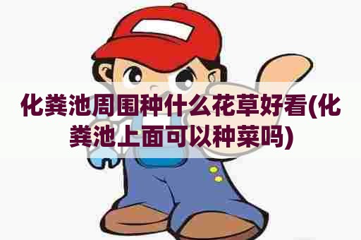 化粪池周围种什么花草好看(化粪池上面可以种菜吗)