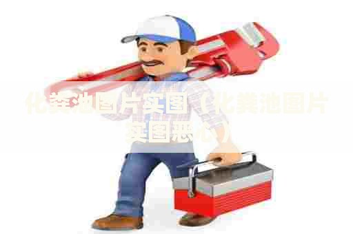 化粪池图片实图（化粪池图片实图恶心）