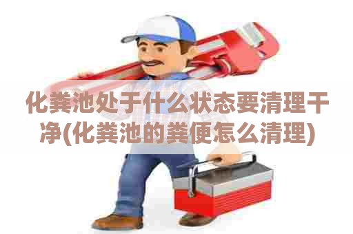 化粪池处于什么状态要清理干净(化粪池的粪便怎么清理) 化粪池处于什么状态要清理干净(化粪池的粪便怎么清理)