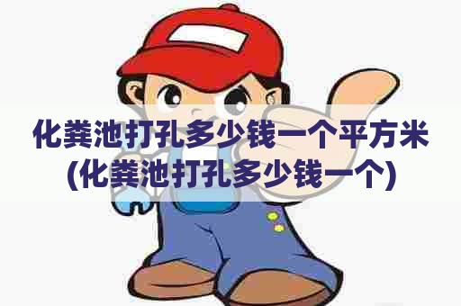 化粪池打孔多少钱一个平方米(化粪池打孔多少钱一个)