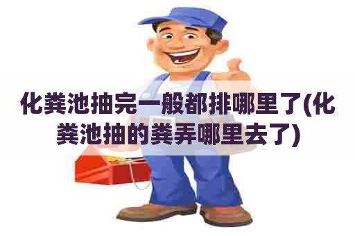 化粪池抽完一般都排哪里了(化粪池抽的粪弄哪里去了)