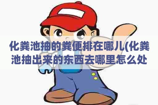 化粪池抽的粪便排在哪儿(化粪池抽出来的东西去哪里怎么处理) 化粪池抽的粪便排在哪儿(化粪池抽出来的东西去哪里怎么处理)