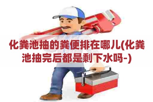 化粪池抽的粪便排在哪儿(化粪池抽完后都是剩下水吗-)