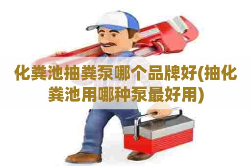 化粪池抽粪泵哪个品牌好(抽化粪池用哪种泵最好用)