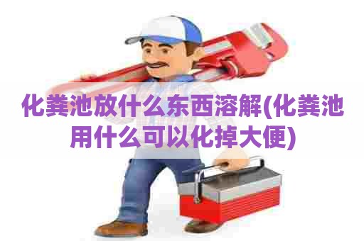 化粪池放什么东西溶解(化粪池用什么可以化掉大便)