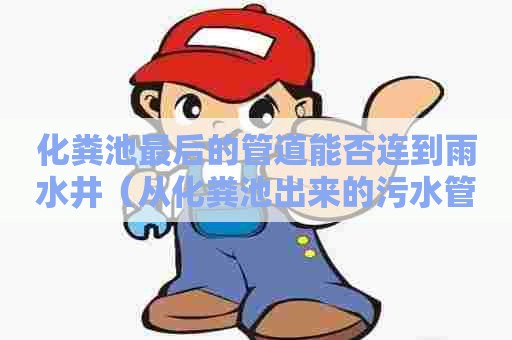 化粪池最后的管道能否连到雨水井（从化粪池出来的污水管可以连接到下一个化粪池吗）