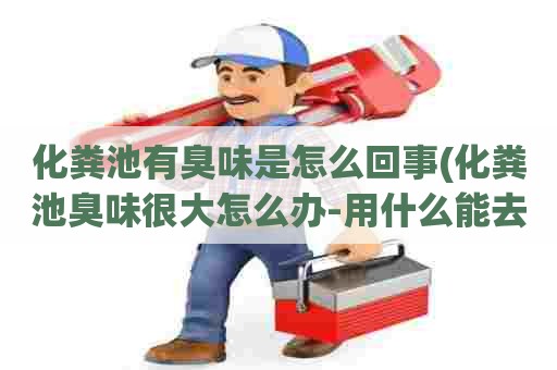 化粪池有臭味是怎么回事(化粪池臭味很大怎么办-用什么能去除-) 化粪池有臭味是怎么回事(化粪池臭味很大怎么办-用什么能去除-)