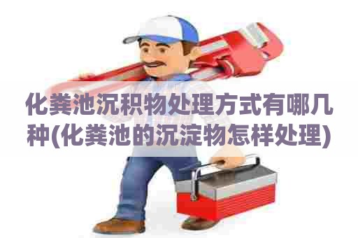 化粪池沉积物处理方式有哪几种(化粪池的沉淀物怎样处理) 化粪池沉积物处理方式有哪几种(化粪池的沉淀物怎样处理)