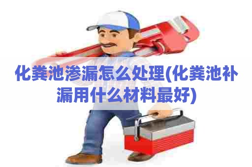 化粪池渗漏怎么处理(化粪池补漏用什么材料最好)