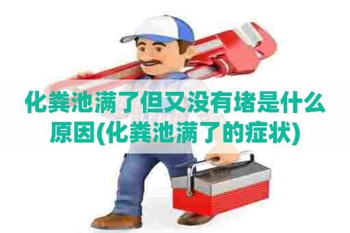 化粪池满了但又没有堵是什么原因(化粪池满了的症状)