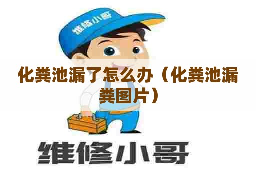 化粪池漏了怎么办（化粪池漏粪图片）