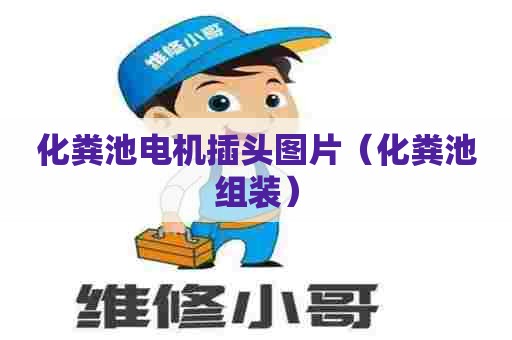 化粪池电机插头图片（化粪池组装）