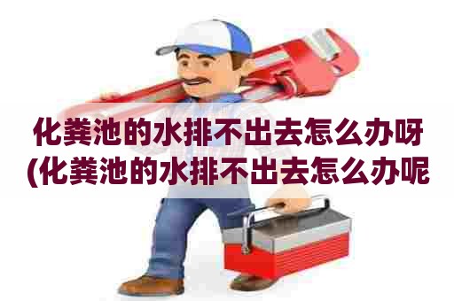 化粪池的水排不出去怎么办呀(化粪池的水排不出去怎么办呢) 化粪池的水排不出去怎么办呀(化粪池的水排不出去怎么办呢)