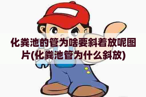 化粪池的管为啥要斜着放呢图片(化粪池管为什么斜放)