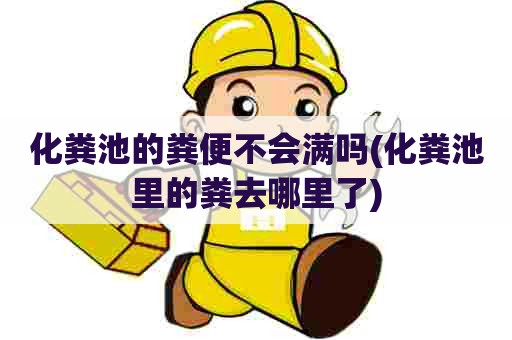 化粪池的粪便不会满吗(化粪池里的粪去哪里了)