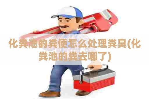 化粪池的粪便怎么处理粪臭(化粪池的粪去哪了)