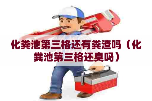 化粪池第三格还有粪渣吗（化粪池第三格还臭吗）