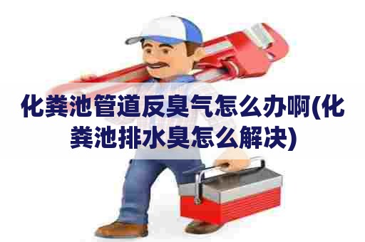 化粪池管道反臭气怎么办啊(化粪池排水臭怎么解决)