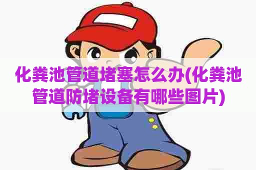 化粪池管道堵塞怎么办(化粪池管道防堵设备有哪些图片)