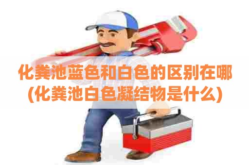 化粪池蓝色和白色的区别在哪(化粪池白色凝结物是什么) 化粪池蓝色和白色的区别在哪(化粪池白色凝结物是什么)