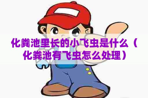 化粪池里长的小飞虫是什么（化粪池有飞虫怎么处理）