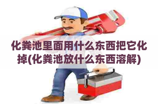 化粪池里面用什么东西把它化掉(化粪池放什么东西溶解)