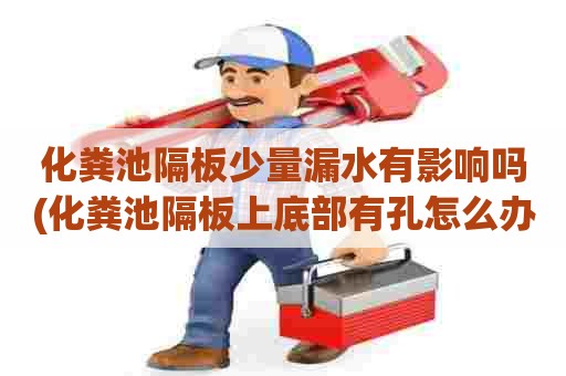 化粪池隔板少量漏水有影响吗(化粪池隔板上底部有孔怎么办)