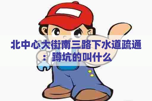 北中心大街南三路下水道疏通：蹲坑的叫什么