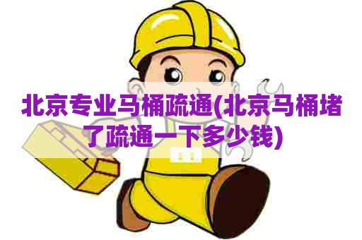 北京专业马桶疏通(北京马桶堵了疏通一下多少钱)