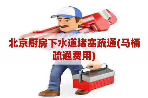 北京厨房下水道堵塞疏通(马桶疏通费用)