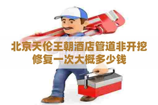 北京天伦王朝酒店管道非开挖修复一次大概多少钱