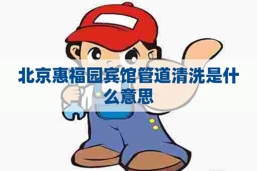 北京惠福园宾馆管道清洗是什么意思