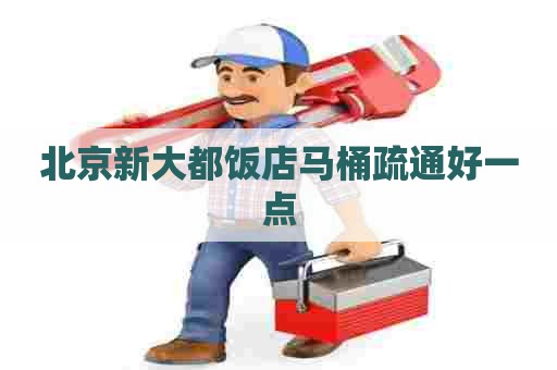 北京新大都饭店马桶疏通好一点 北京新大都饭店马桶疏通好一点