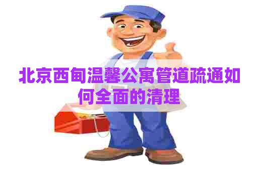北京西甸温馨公寓管道疏通如何全面的清理