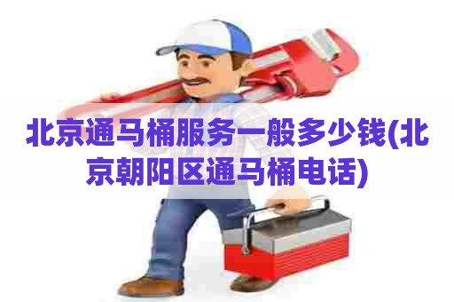 北京通马桶服务一般多少钱(北京朝阳区通马桶电话)