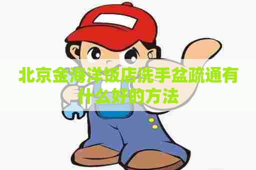 北京金海洋饭店洗手盆疏通有什么好的方法