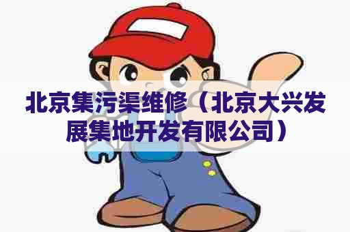 北京集污渠维修(北京大兴发展集地开发有限公司) 北京集污渠维修(北京大兴发展集地开发有限公司)