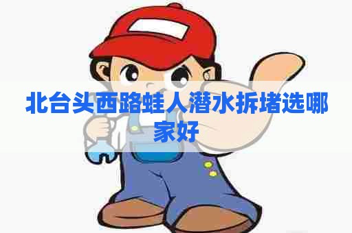 北台头西路蛙人潜水拆堵选哪家好