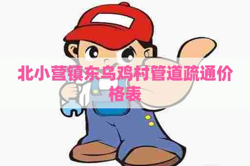 北小营镇东乌鸡村管道疏通价格表