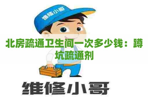 北房疏通卫生间一次多少钱:蹲坑疏通剂 北房疏通卫生间一次多少钱:蹲坑疏通剂
