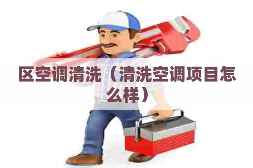 区空调清洗（清洗空调项目怎么样）