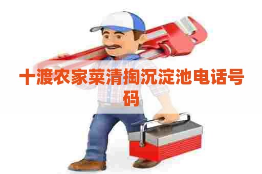十渡农家菜清掏沉淀池电话号码