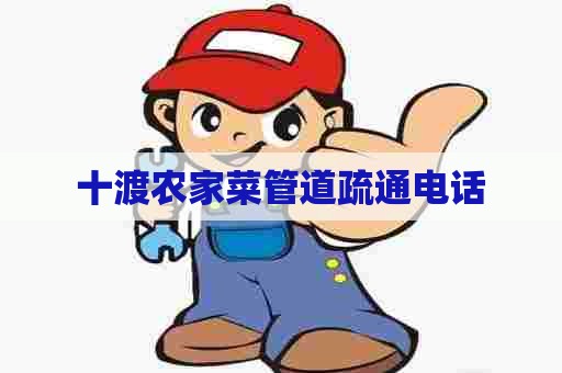十渡农家菜管道疏通电话