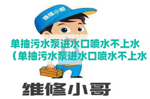 单抽污水泵进水口喷水不上水（单抽污水泵进水口喷水不上水怎么办）
