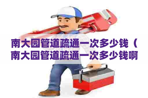 南大园管道疏通一次多少钱（南大园管道疏通一次多少钱啊）