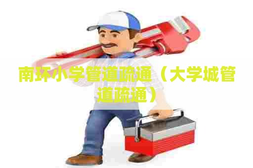 南环小学管道疏通（大学城管道疏通）
