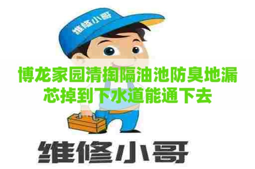 博龙家园清掏隔油池防臭地漏芯掉到下水道能通下去